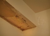 Humidité très forte sous un plafond
